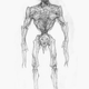 Illustration for article titled Neill Blomkamp Wanted District 9s Aliens To Be As Disgusting As Possible